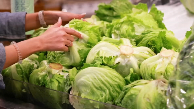 CDC Declares End to Largest Cyclospora Outbreak in US History as Contaminated Lettuce Cleared From Market