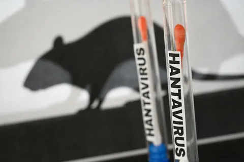 The Hantavirus Alert What You Need to Know